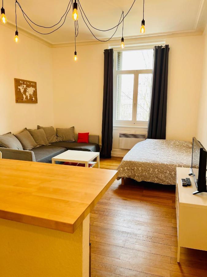 شقة Studio Cosy De 28M2 Au Centre De ستراسبورغ المظهر الخارجي الصورة